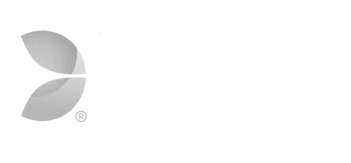 EVOLUTION GAMING (NEW)